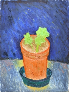 1973 Vasetto-con-gerani-ol.tl_.-cm.30x40