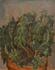 1973-Il-basilico-della-mamma-ol.tl_.-cm.30x40-1973-