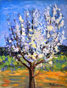 1987-Mandorlo-fiorito-ol.tl_.-cm.30x40-1987-