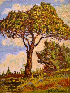 1990-Il-grande-pino-ol.tl_.-cm.30x40-1990-